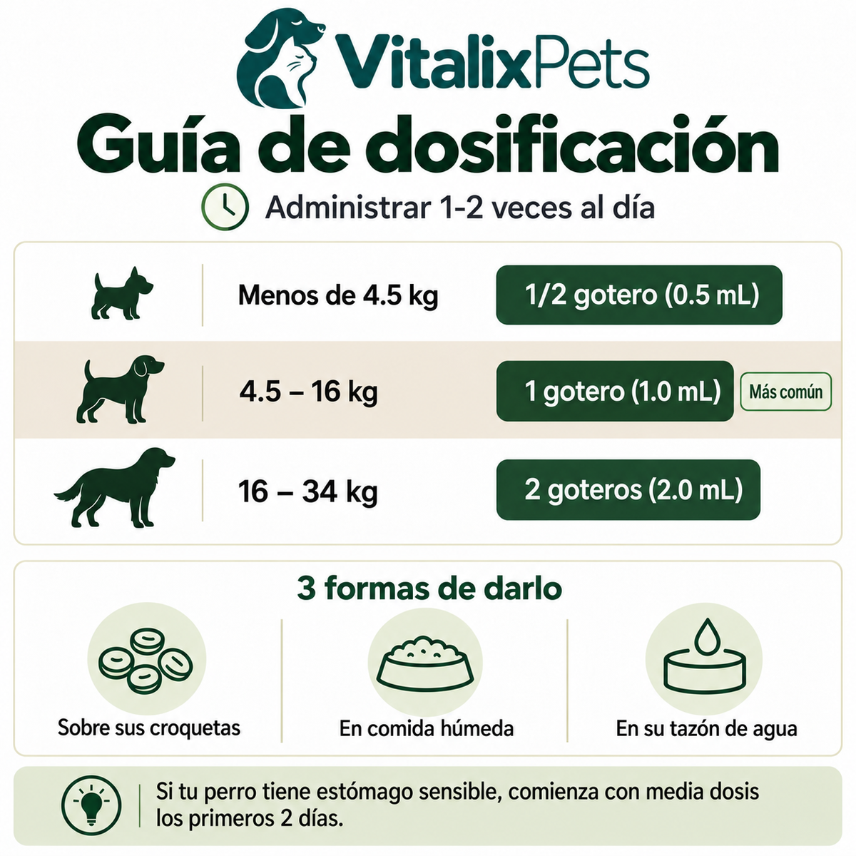 Adiós Hongos para Perros: Fórmula Natural