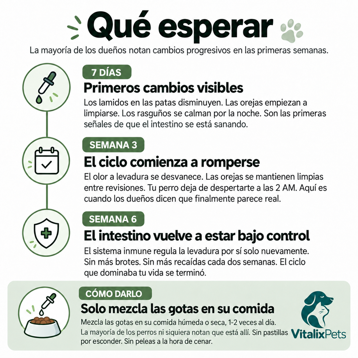 Adiós Hongos para Perros: Fórmula Natural