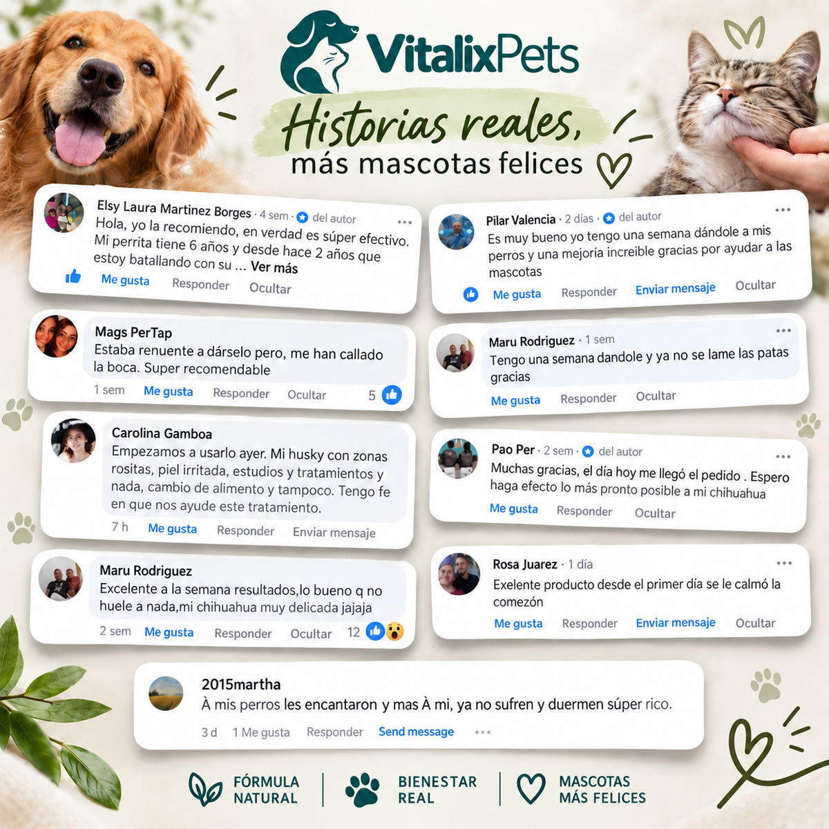 Adiós Hongos para Perros: Fórmula Natural