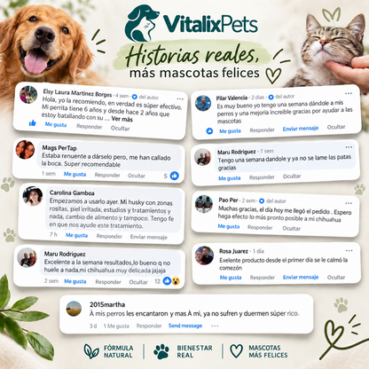 Adiós Hongos para Perros: Fórmula Natural