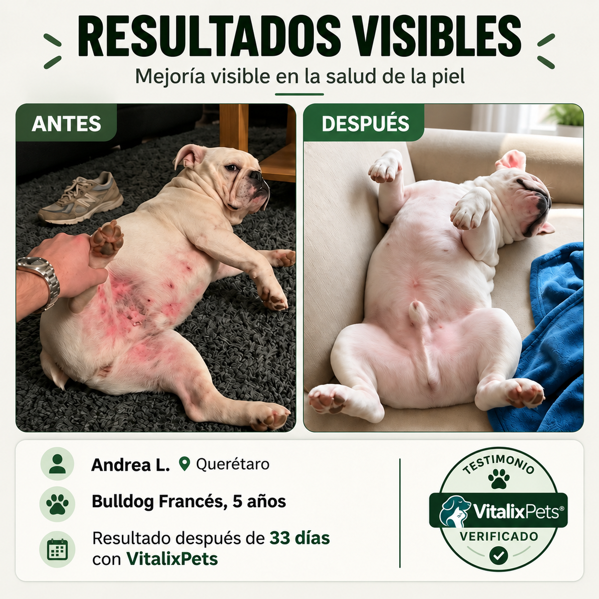 Adiós Hongos para Perros: Fórmula Natural