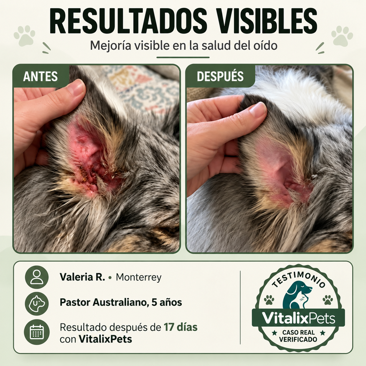 Adiós Hongos para Perros: Fórmula Natural