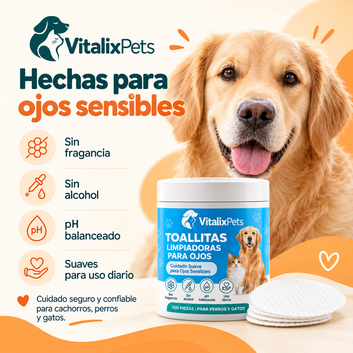 Ojos Limpios en 30 Segundos: Rutina Diaria para tu Perro