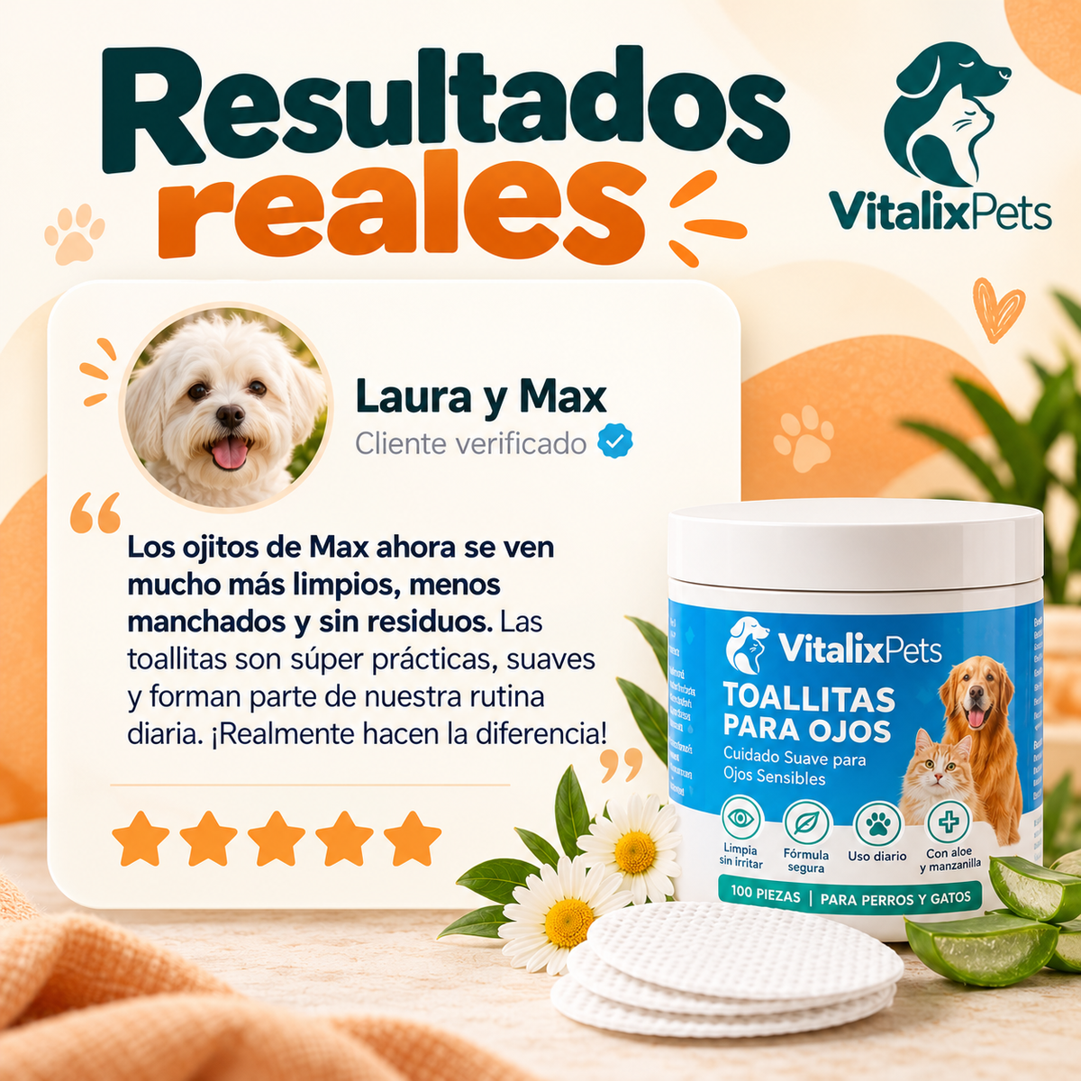 Ojos Limpios en 30 Segundos: Rutina Diaria para tu Perro